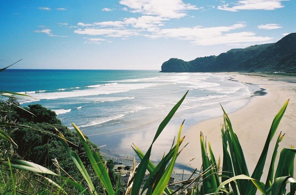 Live and Work in New Zealand