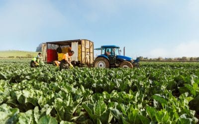Comprehensive visa changes allow onshore migrants to help fill labour shortages